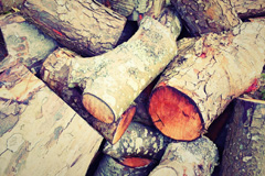 Elkins Green wood burning boiler costs